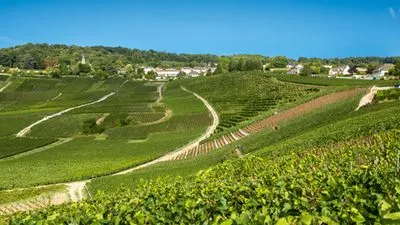De Paris à la Champagne, l'art de vivre à la française en croisière, patrimoine et saveurs au fil de l'eau (formule port/port)