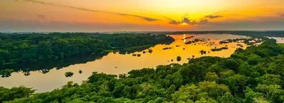 The Amazon