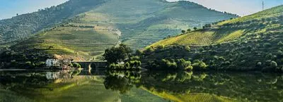 The Douro cruise (Portugal)