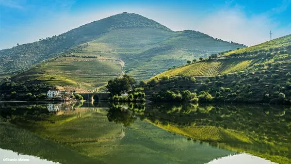 Le Douro en croisière (Portugal)