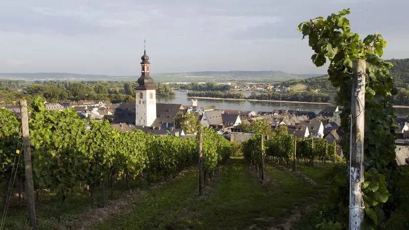 Rüdesheim : dégustation de vins* et visite du Musée des Instruments de Musique Mécanique