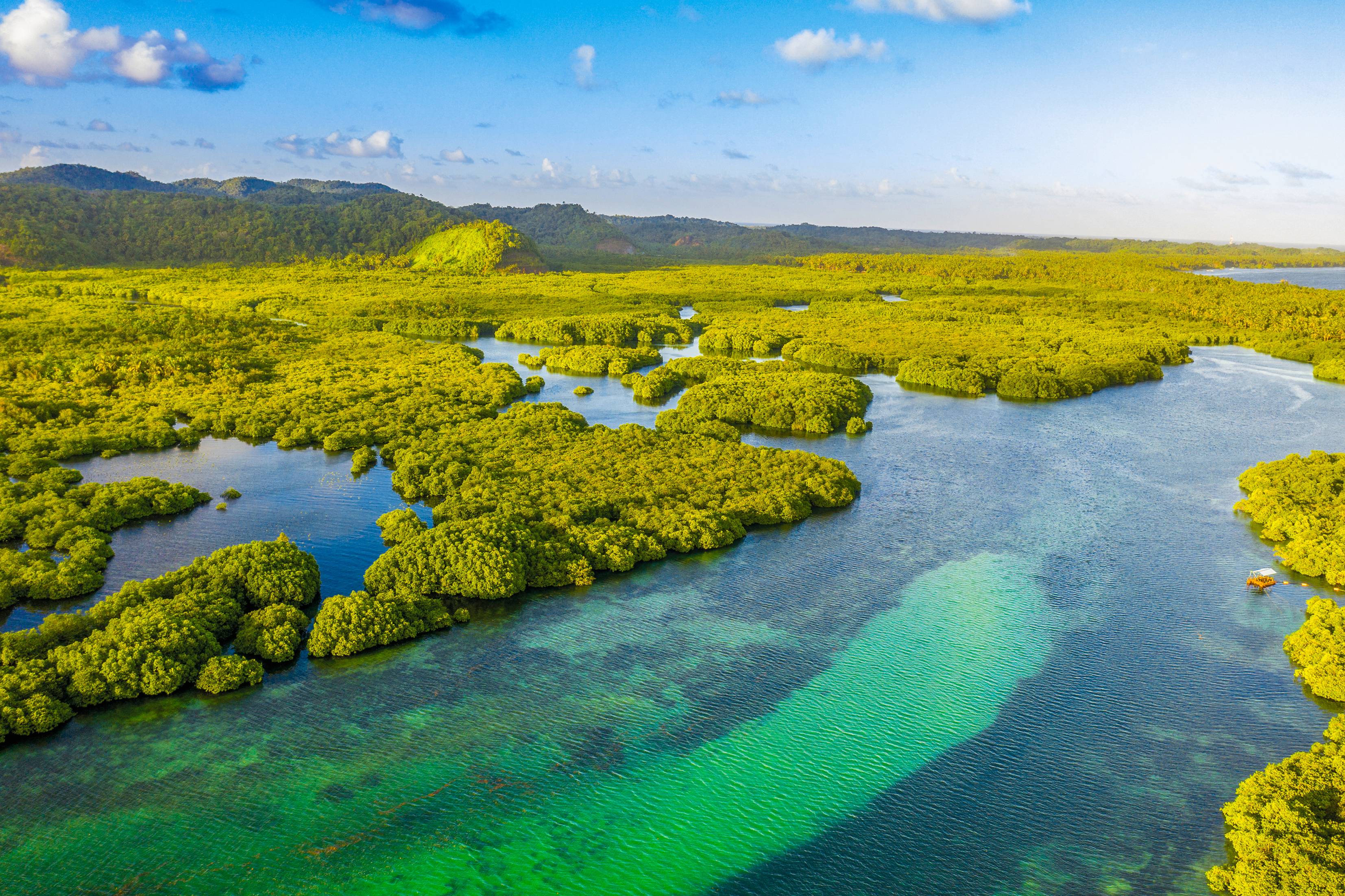 A lo largo del Amazonas y del Río Negro Crucero exclusivo en el corazón de una naturaleza secreta y preservada - MAO_PP