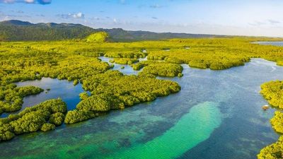 Au fil de l'Amazone et du Rio Negro - Croisière confidentielle au coeur d'une nature secrète et préservée - Rio, vibrante et éternelle, et séjour d'exception aux chutes d'Iguaçu - 10