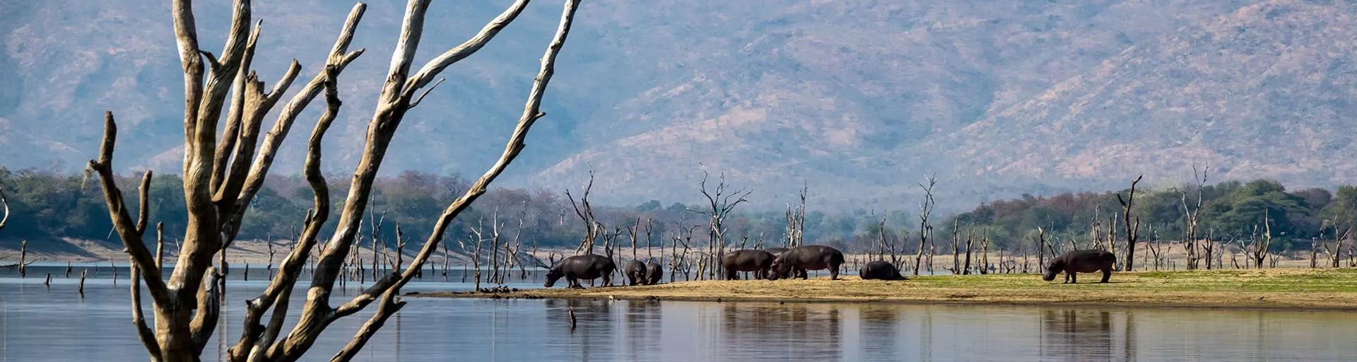 Afrique Australe