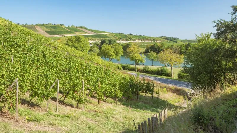 Randonnée sur le sentier de la Moselle