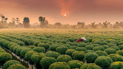 Desde los templos de Angkor hasta el delta del Mekong, viva unas fiestas de fin de año únicas y exoticas - & Hanoi y la Bahía de Along (formula puerto/puerto)