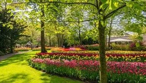 Image alt text not provided.