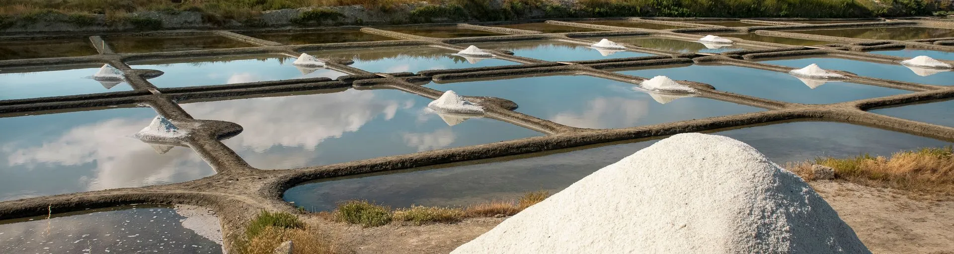 Image alt text not provided.