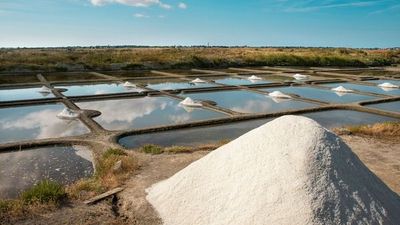 Murmures de la Loire : croisière entre patrimoine et légendes (formule port/port) - image 2