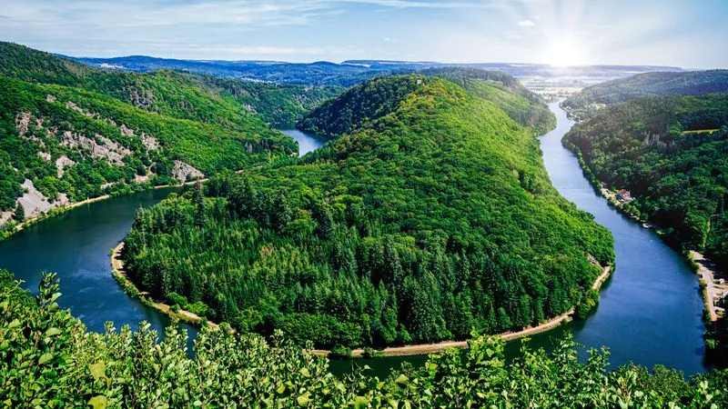 Le chemin des cimes de la boucle de la Sarre