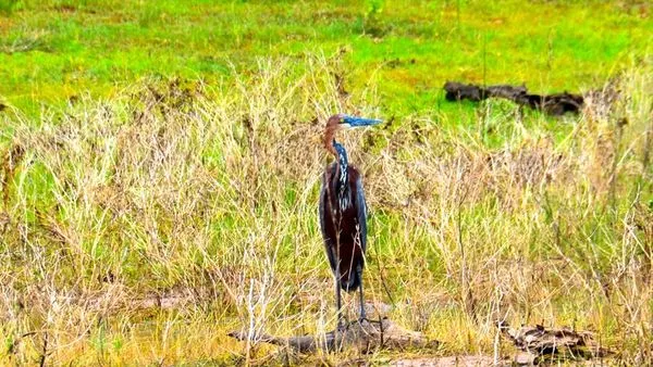 Image alt text not provided.