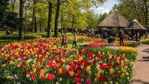 Image alt text not provided.