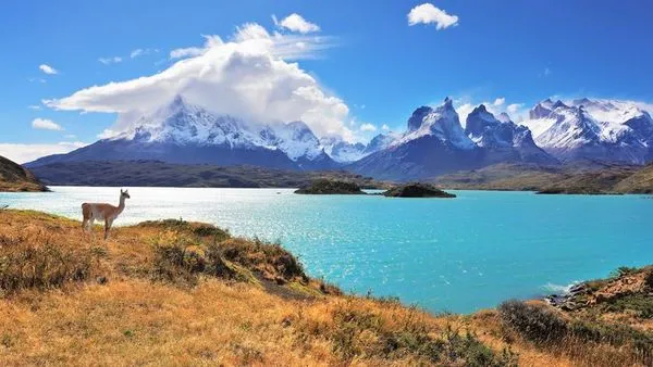 Patagonie