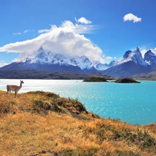 Patagonie