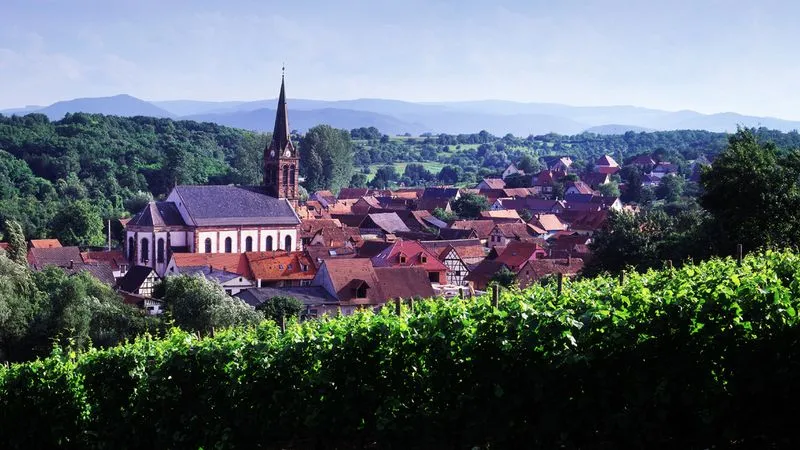 Excursion route des vins