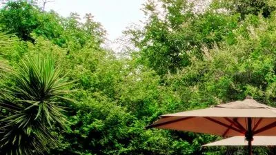 KAZA SAFARI  LODGE 
