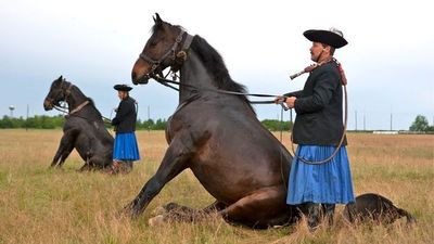 Hongrie - Du Danube vers la Tisza, la Hongrie authentique (formule port-port)