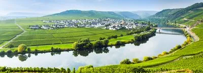 The Rhine and its affluents
