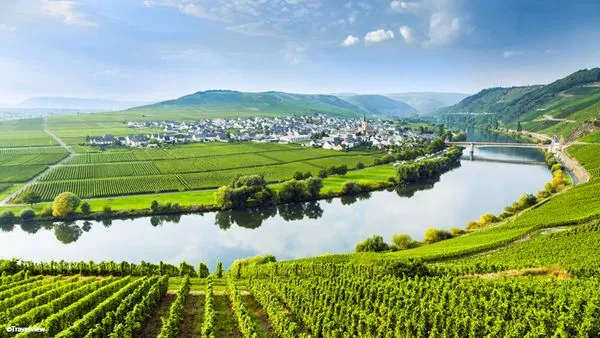 Le Rhin et ses affluents en croisière