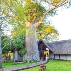  https://images.croisieurope.com/media/5d563a24-3eb5-4359-9111-fd6f60f2a64c/5/exterieur-kaza-lodge-16namibie-afrique-kevin-hogan-kevin-hogan 