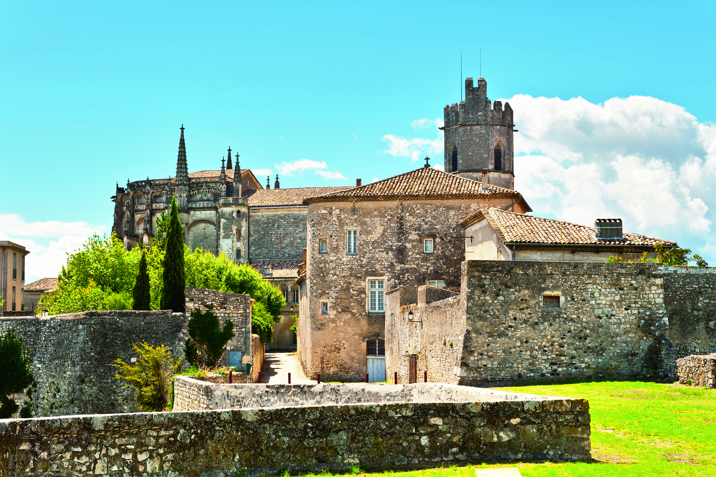 Descubre el fascinante mundo de la vid y el vino, tierras excepcionales del Ródano y la Saona - OSR_PP