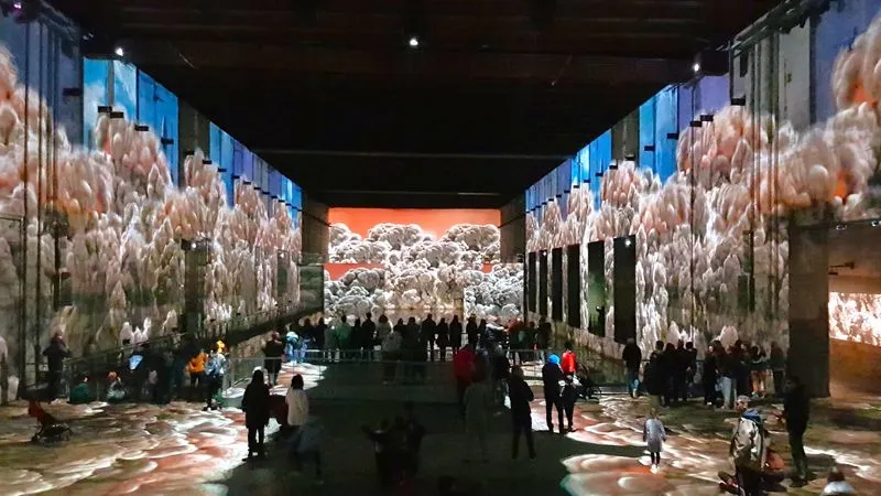 The Bassins des Lumières
