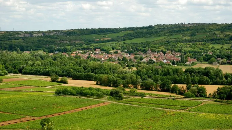 Dégustation de vins à Santenay