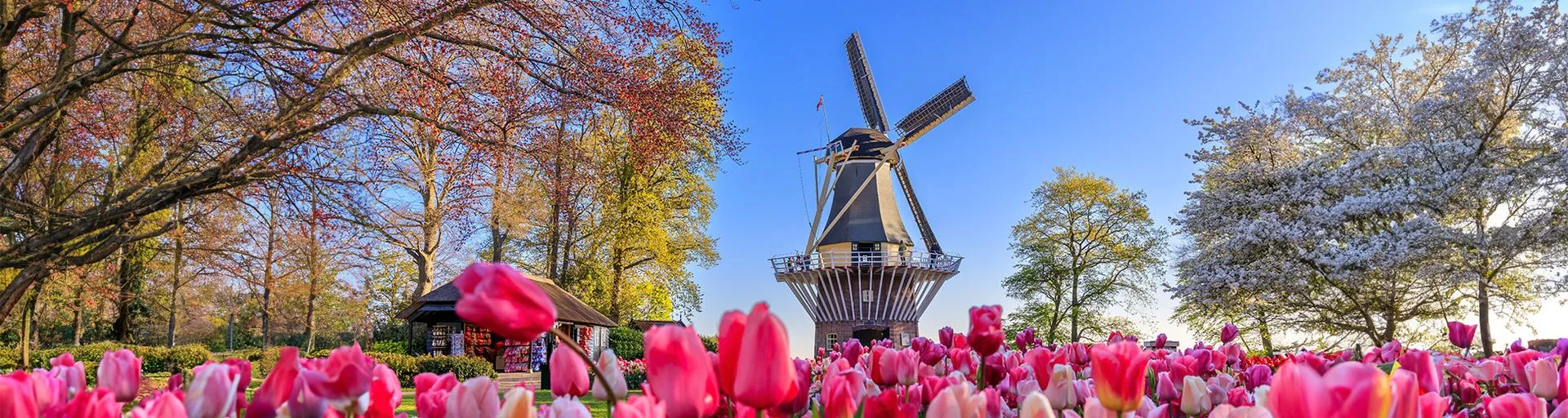 Image alt text not provided.