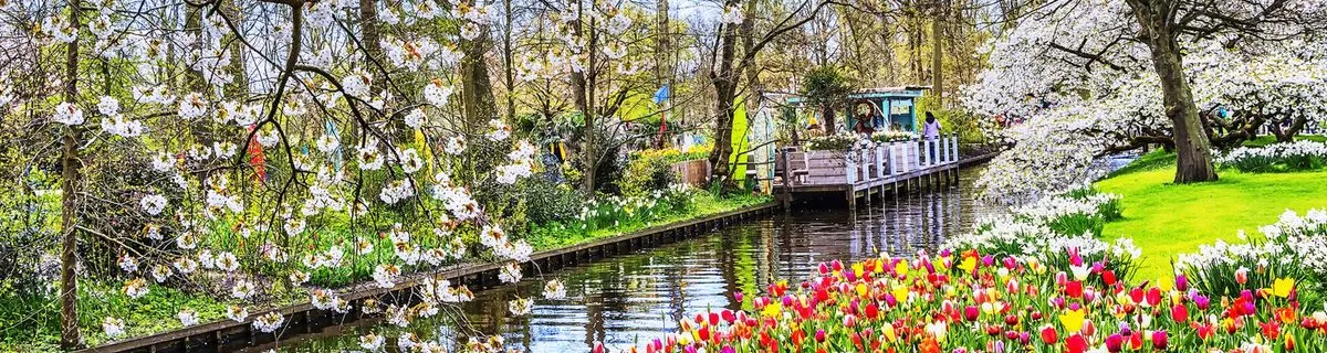 Image alt text not provided.