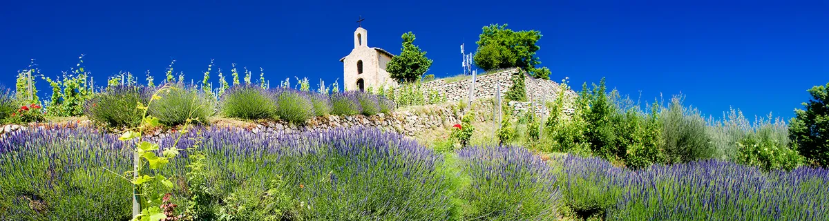 Image alt text not provided.