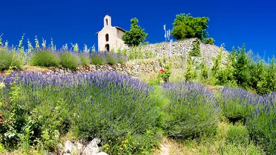 Croisière sur le Rhône : entre terroir, histoire et traditions locales (formule port/port)