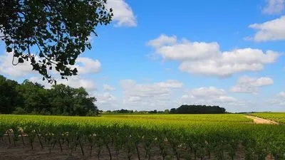 La route du Muscadet
