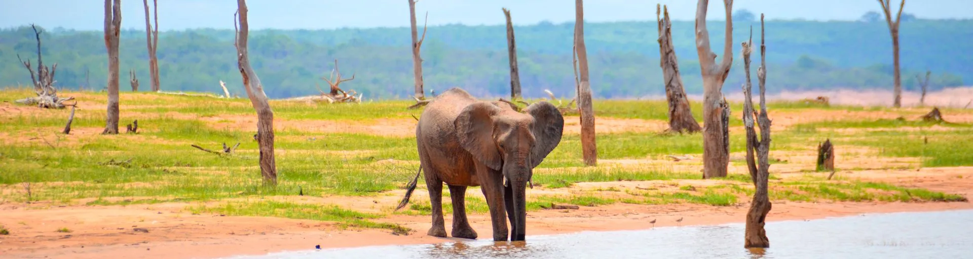 Image alt text not provided.