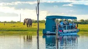 Dix souvenirs d'Afrique australe