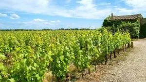 Southwest France, the Gironde estuary and Bordeaux vineyard finest wines [Part 2/2]