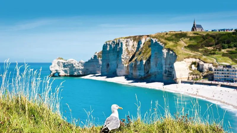 Hike across the cliffs of the Alabaster Coast