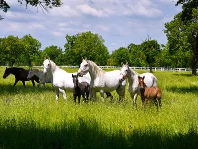 Image alt text not provided.