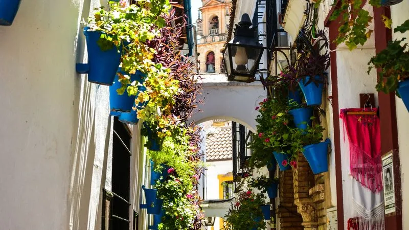 Full-day trip to Córdoba (lunch included)