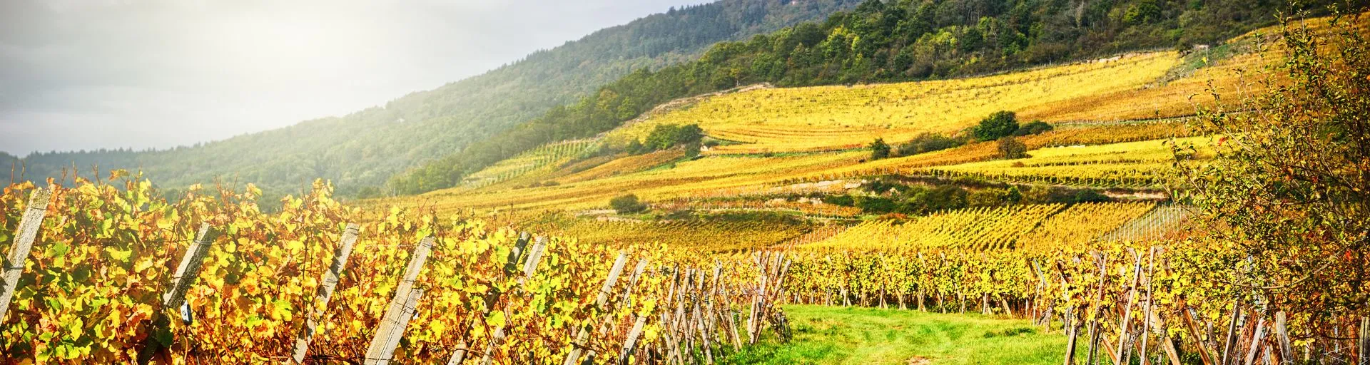 Image alt text not provided.