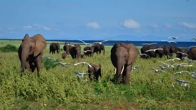 Image alt text not provided.