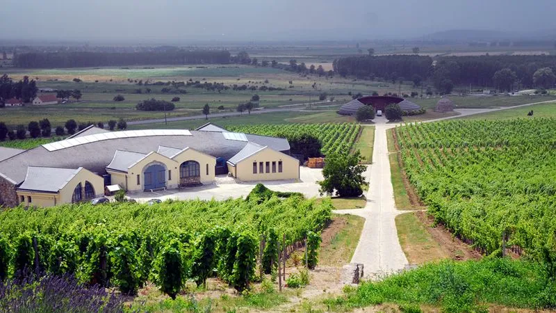 Tasting in a wine cellar in Tokaj