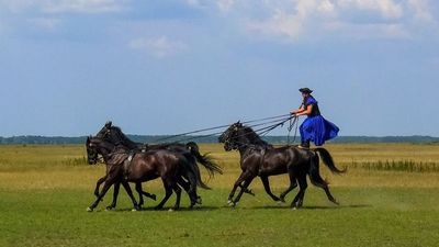 Hongrie - De la Tisza vers le Danube, la Hongrie authentique (formule port/port)