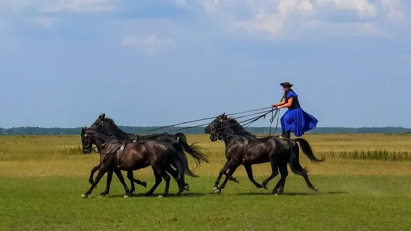 Journée d'excursion dans la Puszta (déjeuner inclus)