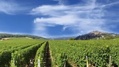 Sancerre y quesería