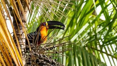 Image alt text not provided.