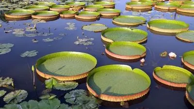 Image alt text not provided.