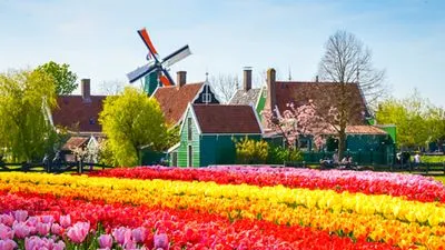 Springtime in Holland (port-to-port cruise)