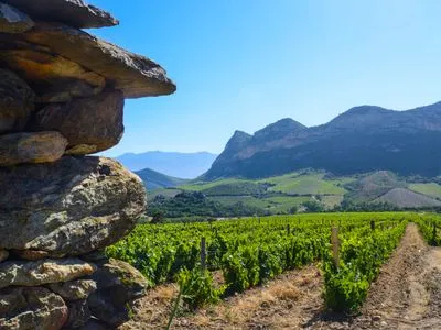 Image alt text not provided.