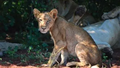 Image alt text not provided.