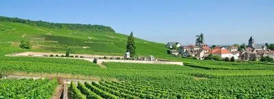 CHAMPAGNE : Canal de la Marne